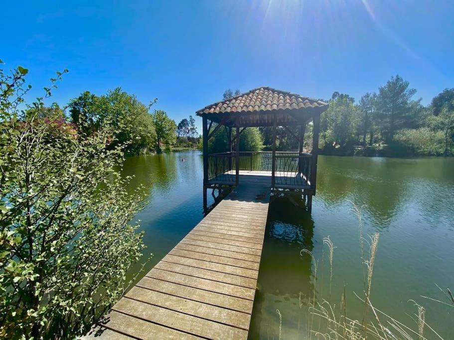 Les Restanques Bougainvillee 2051 Grimaud Bagian luar foto