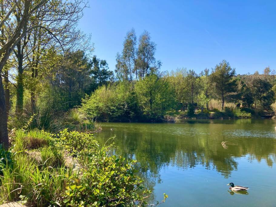 Les Restanques Bougainvillee 2051 Grimaud Bagian luar foto